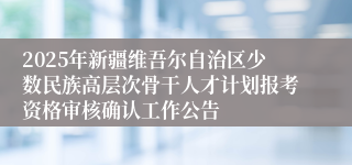 2025年新疆维吾尔自治区少数民族高层次骨干人才计划报考资格审核确认工作公告