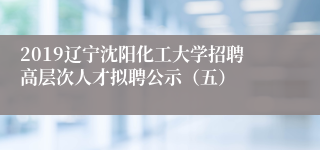 2019辽宁沈阳化工大学招聘高层次人才拟聘公示（五）