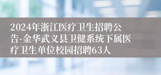 2024年浙江医疗卫生招聘公告-金华武义县卫健系统下属医疗卫生单位校园招聘63人