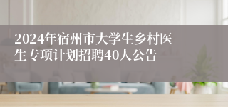 2024年宿州市大学生乡村医生专项计划招聘40人公告