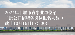 2024年十堰市直事业单位第二批公开招聘各岗位报名人数（截止10月16日17：00）