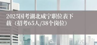 2025国考湖北咸宁职位表下载（招考65人/38个岗位）