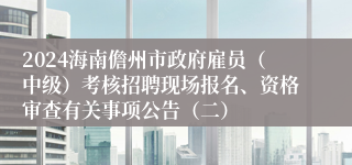 2024海南儋州市政府雇员（中级）考核招聘现场报名、资格审查有关事项公告（二）