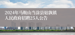 2024年马鞍山当涂县姑孰镇人民政府招聘25人公告