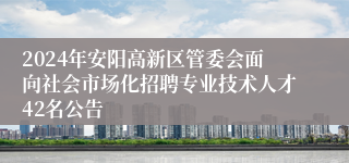 2024年安阳高新区管委会面向社会市场化招聘专业技术人才42名公告