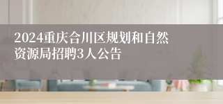 2024重庆合川区规划和自然资源局招聘3人公告