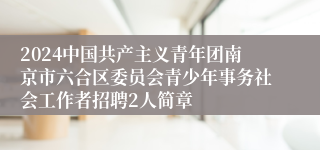 2024中国共产主义青年团南京市六合区委员会青少年事务社会工作者招聘2人简章