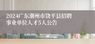 2024广东潮州市饶平县招聘事业单位人才5人公告