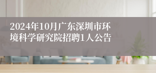 2024年10月广东深圳市环境科学研究院招聘1人公告