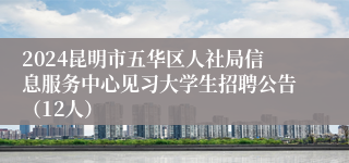 2024昆明市五华区人社局信息服务中心见习大学生招聘公告（12人）