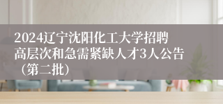 2024辽宁沈阳化工大学招聘高层次和急需紧缺人才3人公告（第二批）