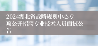 2024湖北省战略规划中心专项公开招聘专业技术人员面试公告