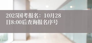 2025国考报名：10月28日8:00后查询报名序号