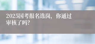 2025国考报名选岗，你通过审核了吗？