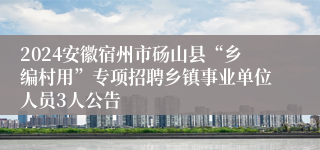 2024安徽宿州市砀山县“乡编村用”专项招聘乡镇事业单位人员3人公告