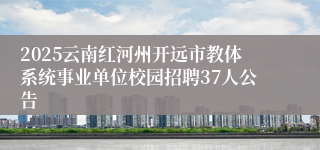 2025云南红河州开远市教体系统事业单位校园招聘37人公告