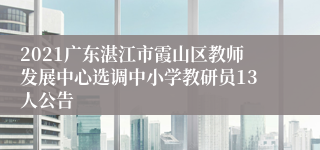 2021广东湛江市霞山区教师发展中心选调中小学教研员13人公告