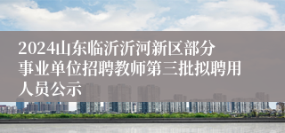 2024山东临沂沂河新区部分事业单位招聘教师第三批拟聘用人员公示