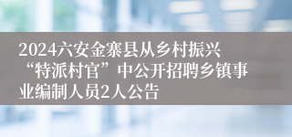 2024六安金寨县从乡村振兴“特派村官”中公开招聘乡镇事业编制人员2人公告