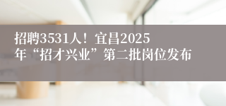 招聘3531人！宜昌2025年“招才兴业”第二批岗位发布