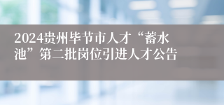 2024贵州毕节市人才“蓄水池”第二批岗位引进人才公告