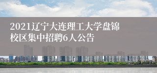 2021辽宁大连理工大学盘锦校区集中招聘6人公告