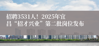 招聘3531人！2025年宜昌“招才兴业”第二批岗位发布