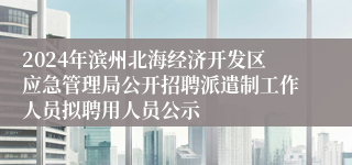 2024年滨州北海经济开发区应急管理局公开招聘派遣制工作人员拟聘用人员公示