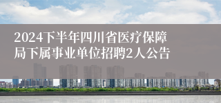 2024下半年四川省医疗保障局下属事业单位招聘2人公告