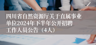 四川省自然资源厅关于直属事业单位2024年下半年公开招聘工作人员公告（4人）