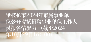 攀枝花市2024年市属事业单位公开考试招聘事业单位工作人员报名情况表 （截至2024年10月29日16：00）