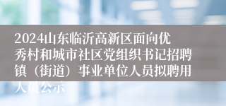 2024山东临沂高新区面向优秀村和城市社区党组织书记招聘镇（街道）事业单位人员拟聘用人员公示