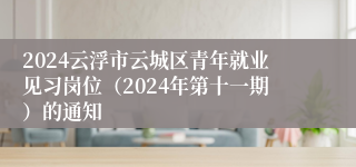 2024云浮市云城区青年就业见习岗位（2024年第十一期）的通知