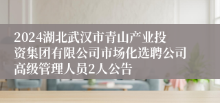 2024湖北武汉市青山产业投资集团有限公司市场化选聘公司高级管理人员2人公告