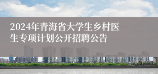 2024年青海省大学生乡村医生专项计划公开招聘公告