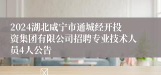 2024湖北咸宁市通城经开投资集团有限公司招聘专业技术人员4人公告                                    	          