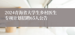 2024青海省大学生乡村医生专项计划招聘65人公告