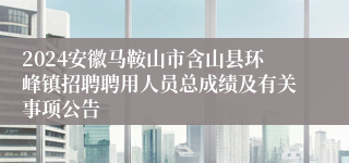 2024安徽马鞍山市含山县环峰镇招聘聘用人员总成绩及有关事项公告