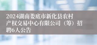 2024湖南娄底市新化县农村产权交易中心有限公司（筹）招聘6人公告