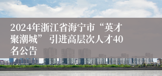 2024年浙江省海宁市“英才聚潮城” 引进高层次人才40名公告