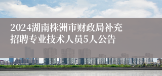 2024湖南株洲市财政局补充招聘专业技术人员5人公告