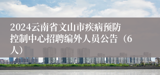 2024云南省文山市疾病预防控制中心招聘编外人员公告（6人）