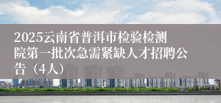 2025云南省普洱市检验检测院第一批次急需紧缺人才招聘公告（4人）