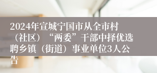 2024年宣城宁国市从全市村（社区）“两委”干部中择优选聘乡镇（街道）事业单位3人公告