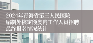 2024年青海省第三人民医院编制外核定额度内工作人员招聘最终报名情况统计