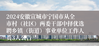 2024安徽宣城市宁国市从全市村（社区）两委干部中择优选聘乡镇（街道）事业单位工作人员3人公告