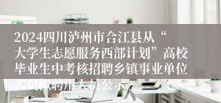 2024四川泸州市合江县从“大学生志愿服务西部计划”高校毕业生中考核招聘乡镇事业单位人员拟聘用人员公示