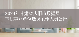 2024年甘肃省庆阳市数据局下属事业单位选调工作人员公告