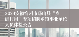 2024安徽宿州市砀山县“乡编村用”专项招聘乡镇事业单位人员体检公告