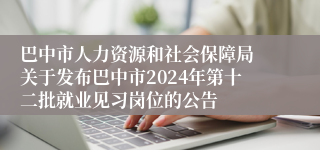 巴中市人力资源和社会保障局 关于发布巴中市2024年第十二批就业见习岗位的公告